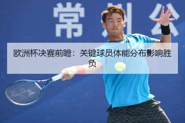 欧洲杯决赛前瞻：关键球员体能分布影响胜负 - SPORTS